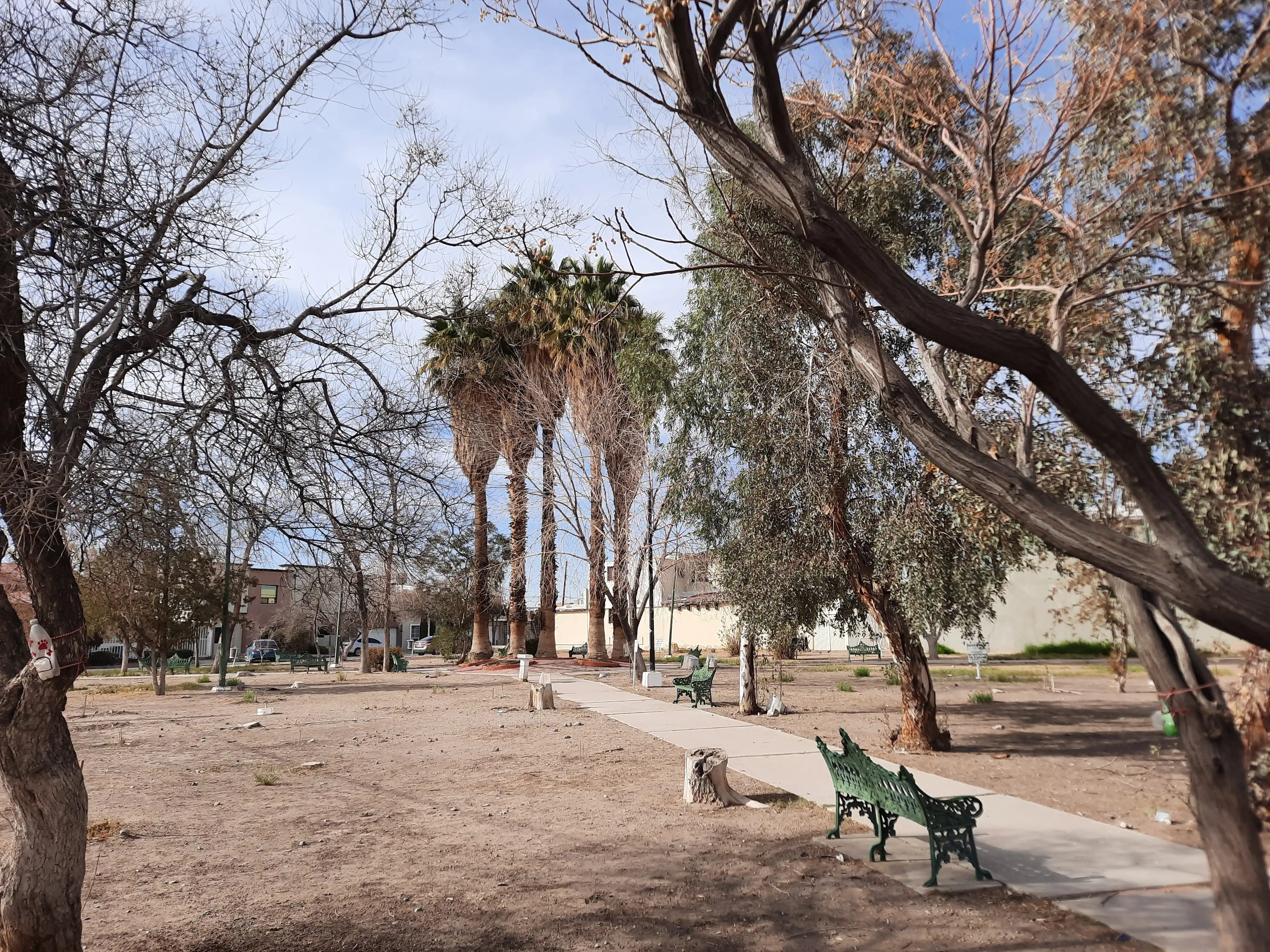 Parque 21 de Marzo y Río Júcar